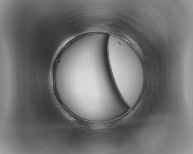 X0000111670796200907171443