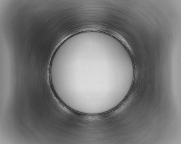 X0000111670802200907171443