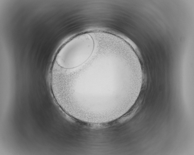 X0000111670807200907171443