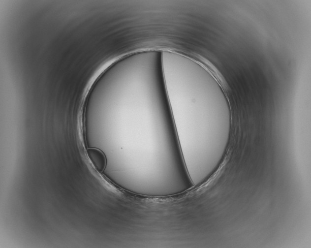 X0000111670812200907171443