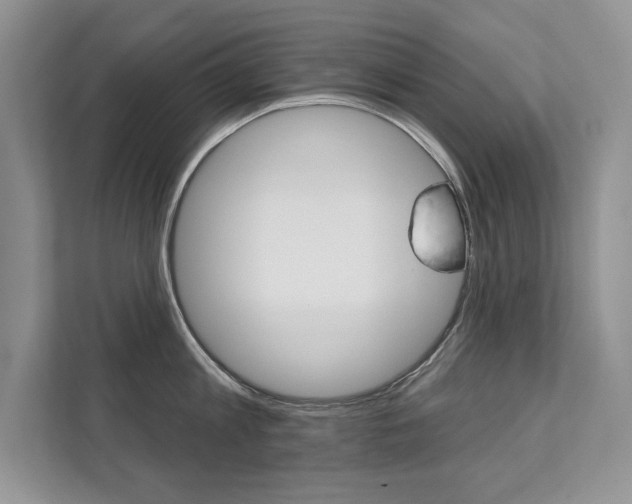 X0000111670813200907171443