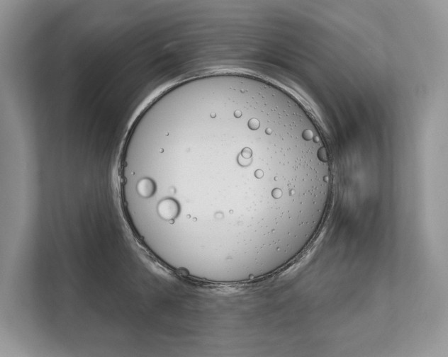 X0000111670814200907171443