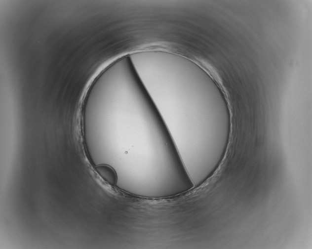 X0000111670816200907171443