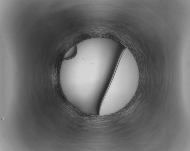 X0000111670818200907171442