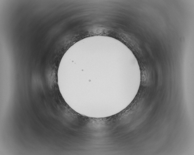 X0000111670820200907171442