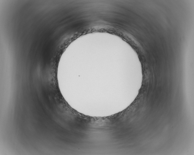 X0000111670824200907171442