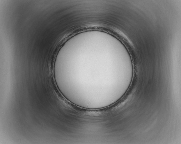 X0000111670825200907171442
