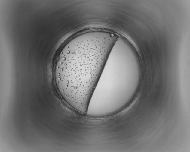 X0000111670829200907171442