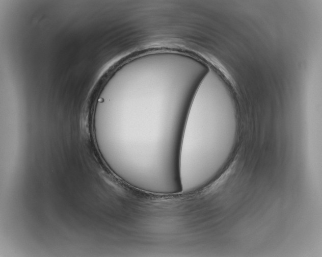 X0000111670830200907171442