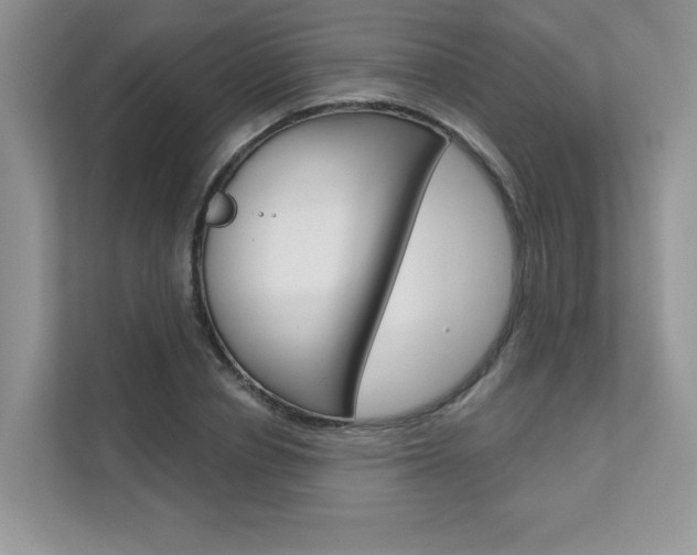 X0000111670834200907171443