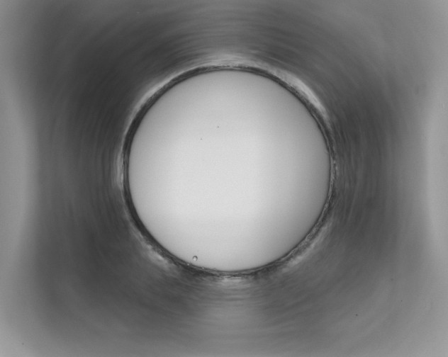X0000111670839200907171443