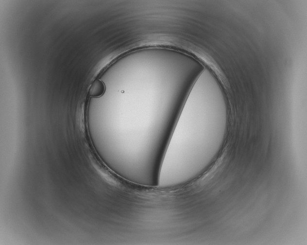 X0000111670842200907171443