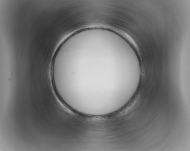 X0000111670847200907171443