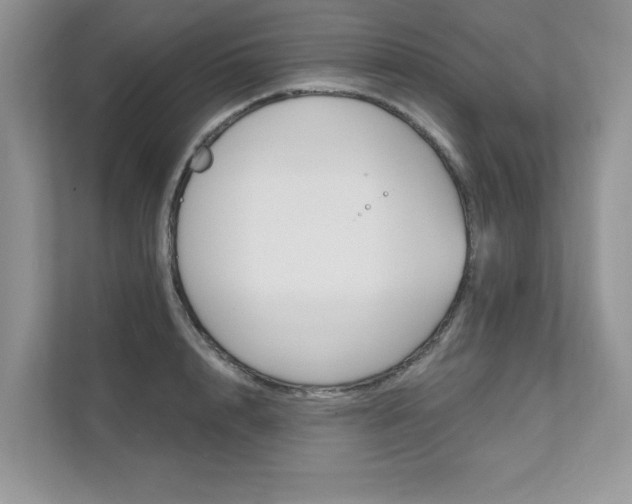 X0000111670848200907171443