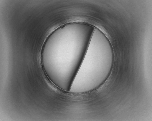 X0000111670850200907171443