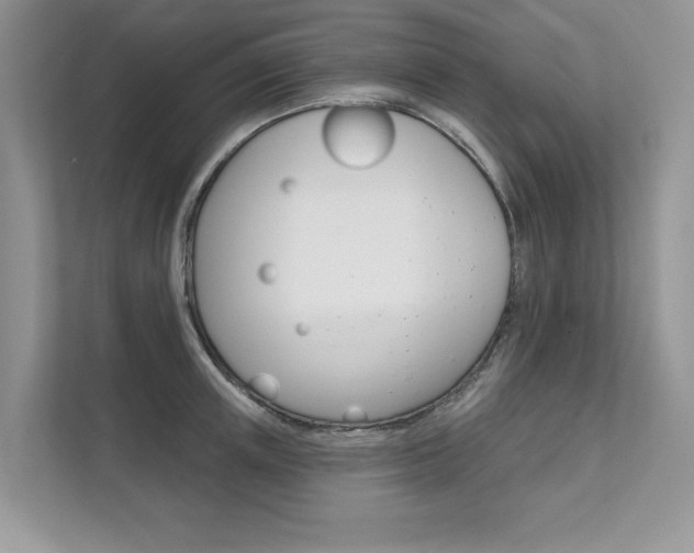 X0000111670851200907171443