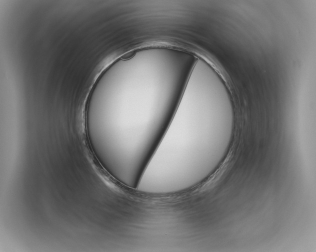 X0000111670858200907171443