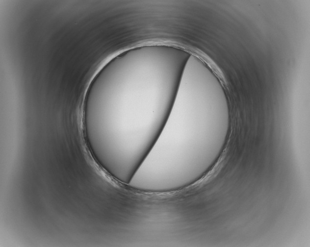 X0000111670860200907171443