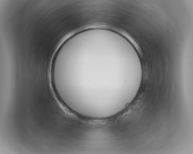 X0000111670861200907171443