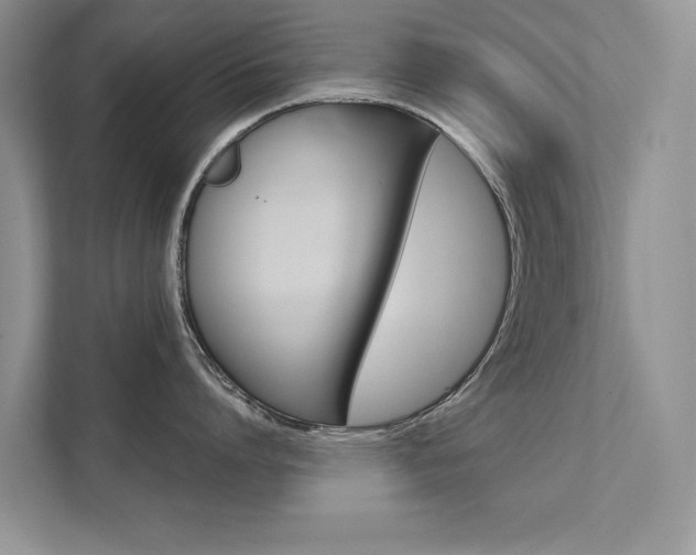X0000111670864200907171443