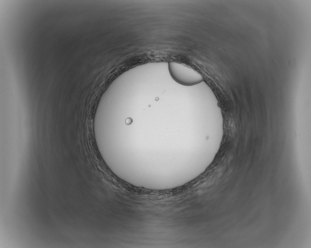 X0000111670865200907171442