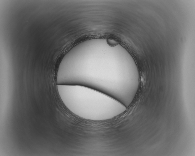 X0000111670867200907171442