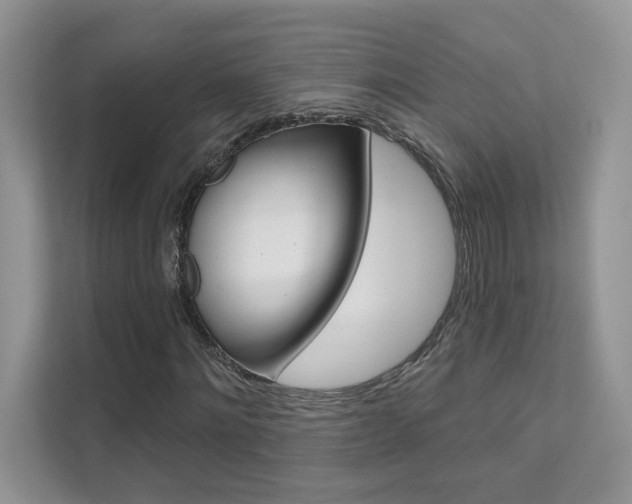 X0000111670868200907171442