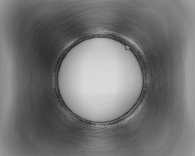 X0000111670873200907171442