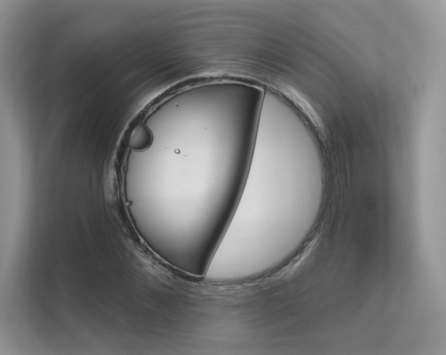 X0000111670876200907171442