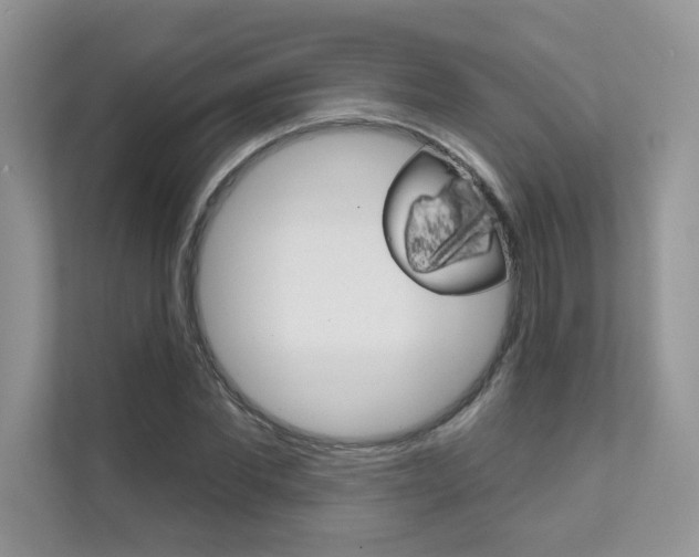 X0000111670877200907171442