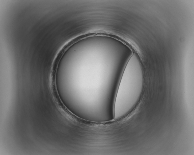 X0000111670880200907171442