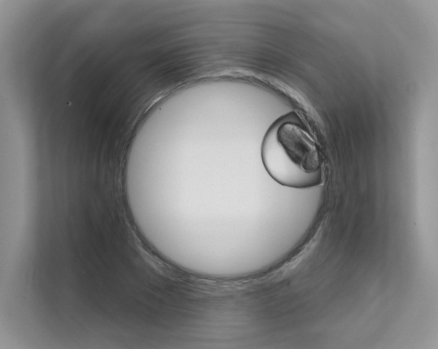X0000111670881200907171442