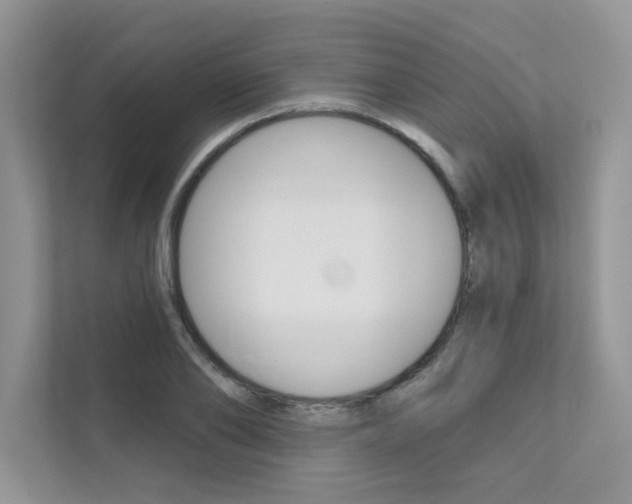 X0000111670886200907171442