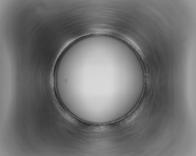 X0000111670891200907171442