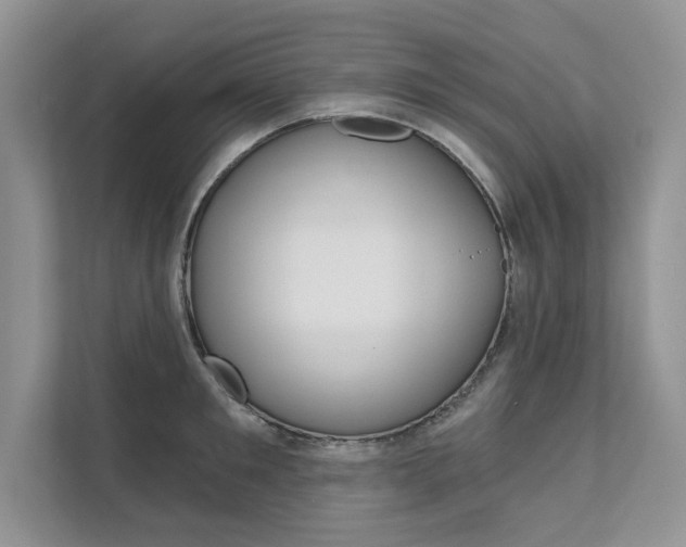 X0000111670901200907171442