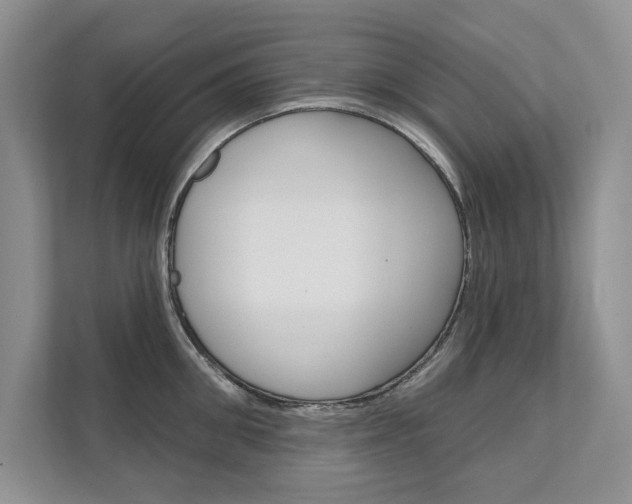 X0000111670906200907171442