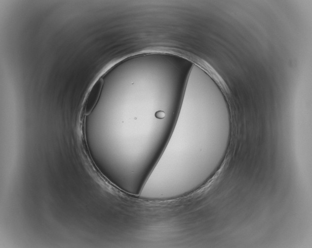 X0000111670908200907171442