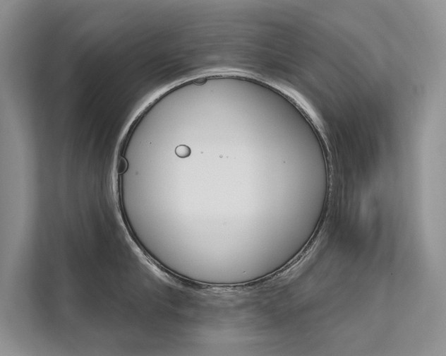 X0000111670910200907171442
