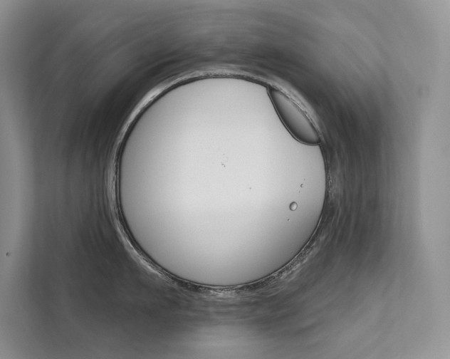 X0000111670911200907171442