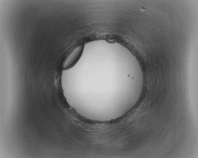 X0000111670914200907171441