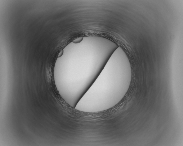 X0000111670915200907171441