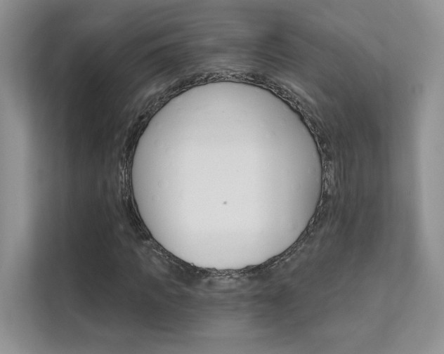 X0000111670917200907171441
