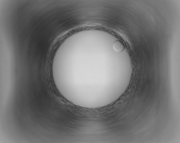 X0000111670920200907171441