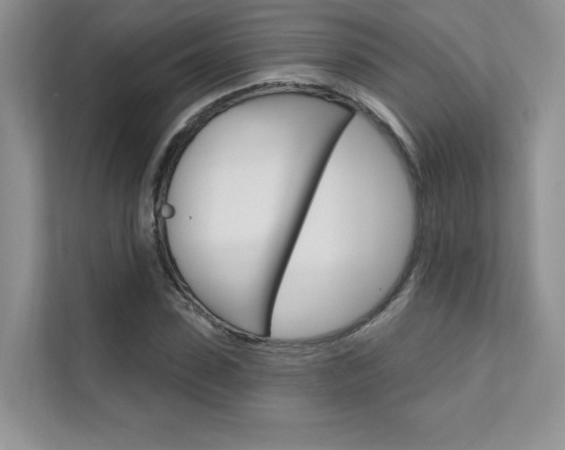 X0000111670923200907171441