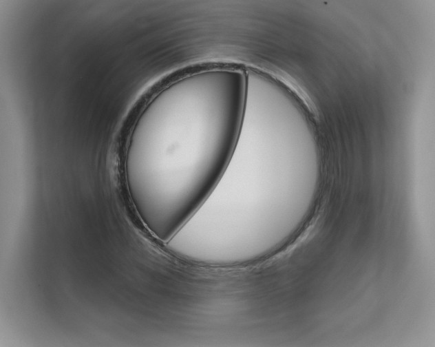 X0000111670926200907171441