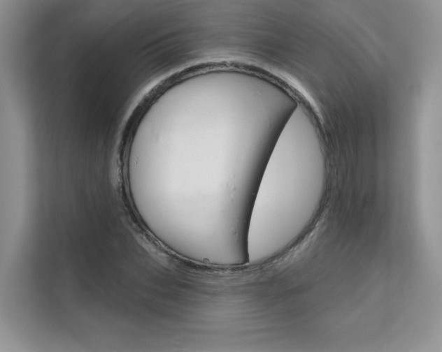 X0000111670927200907171441