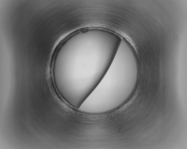 X0000111670928200907171441