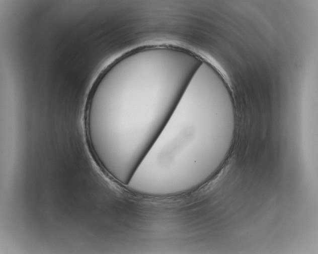 X0000111670943200907171441