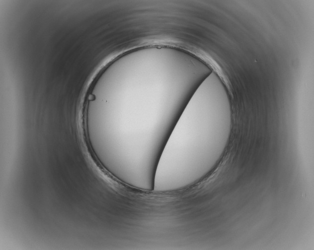 X0000111670947200907171441
