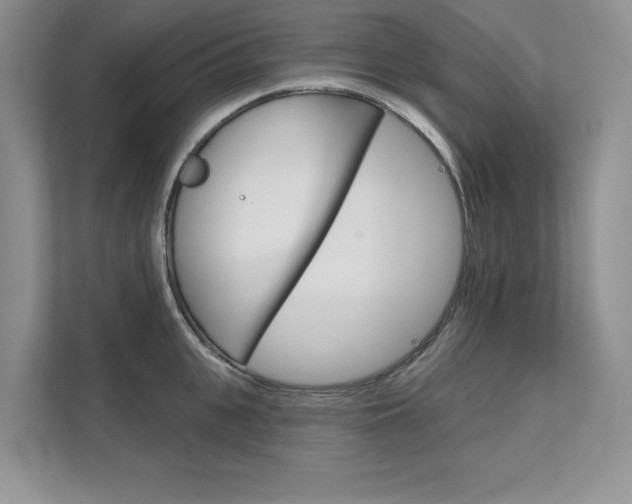 X0000111670951200907171441